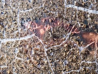 Abstract texture of paint