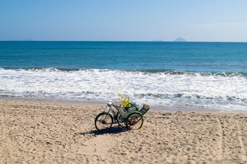 Fototapeta premium old cart by the sea beach