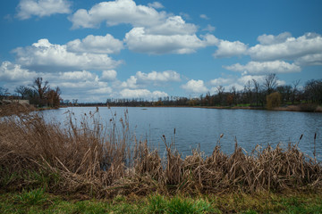 View of the Jelonka Lake in the city of Gdańsk, the first capital of Poland, Europe, Greater Poland