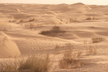 The send of the Sahara