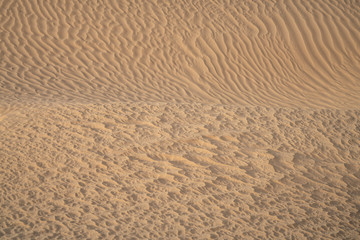 The send of the Sahara