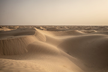The send of the Sahara