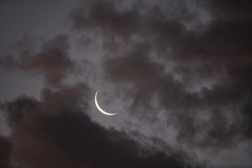 Little Moon
