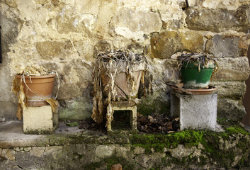 Pots with dead plants