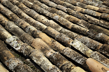 Ceramic roof tiles