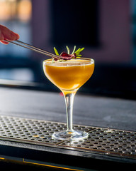 Bartender puts a sprig of rosemary on the finished cocktail.Bartender is preparing a cocktail for serving.Finishing a Cocktail. Mixology
