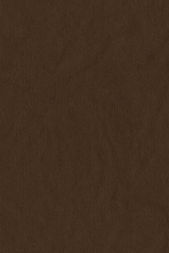 High Resolution Burnt Umber Brown Recycled Striped Kraft Paper Crumpled Coarse Grain Texture