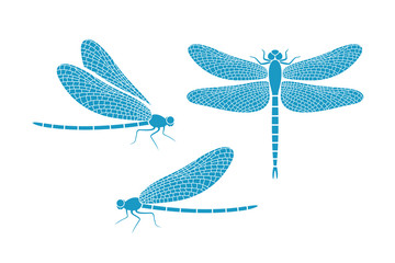 Dragonfly logo. Isolated dragonfly on white background - obrazy, fototapety, plakaty