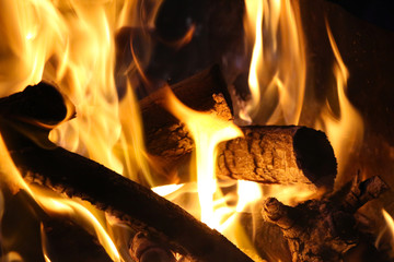 Close up view of orange flames in bonfire. Firewood is already charred. Theme of barbecue and outdoor recreation in a comfortable setting.