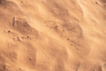 The Tunisian Sahara
