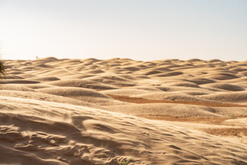 The Tunisian Sahara