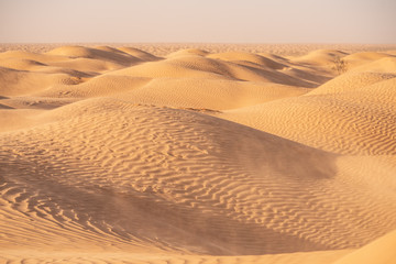 sand dunes in the desert