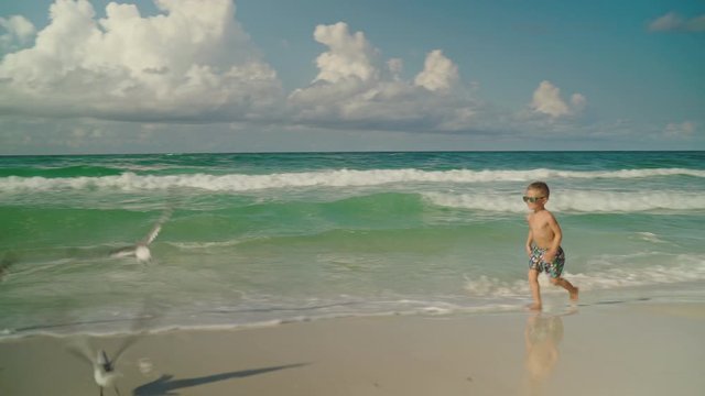 Little boy is running playing with seagulls on the beach. Boy and seagulls. Panama City Beach