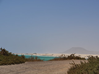 Fototapeta premium Beautiful beach of Spain, Canary Islands Fuerteventura, fine sand and crystal clear water