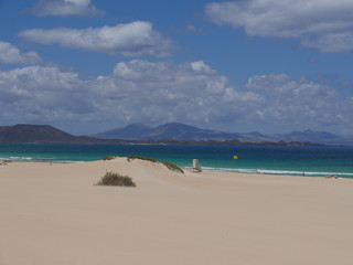 Fototapeta na wymiar Beautiful beach of Spain, Canary Islands Fuerteventura, fine sand and crystal clear water
