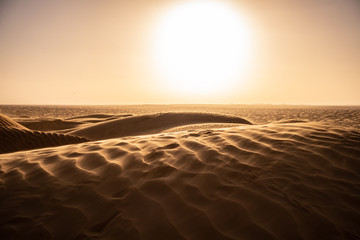 sand dunes in the desert © skazar
