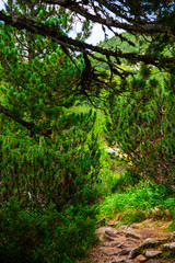Landscape in Retezat mountains, Romania