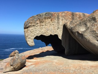 Australien K&auml;nguru Island 