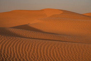 sand dunes in the desert
