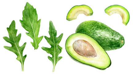 Avocado arugula set watercolor isolated on white background