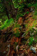 Landscape in Retezat mountains, Romania