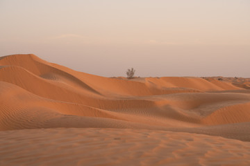 Fototapeta na wymiar sunset in the desert
