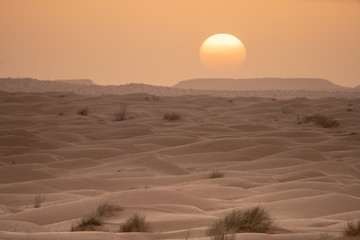 Naklejka premium sunset in the desert