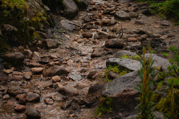Landscape of a rock filled creek in Huascarán National Park