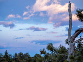 Fototapeta premium OLYMPUS DIGITAL CAMERA