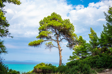 Fototapeta na wymiar Landscape at the sea in Greece