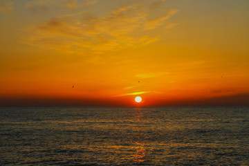 beautiful dawn on the sea, flight of ducks over the sea, ducks fly at dawn over the sea.