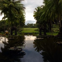 Java Indonesien Mount Merapi Palmen Berg Vulkan 