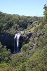 Fototapeta na wymiar Ebor Falls in Guy Fawkes River National Park, New South Wales Australia