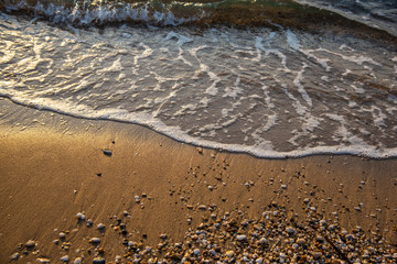 Landscape at the sea in Kassandra , Greece