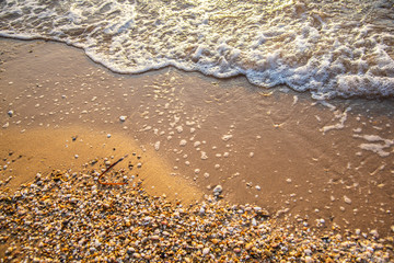 Landscape at the sea in Kassandra , Greece