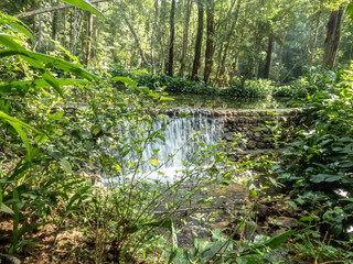 Rio de Janeiro, he  national park  of "Parque Nacional da Tijuca 