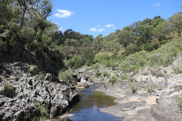 Fototapeta na wymiar Oxley Wild Rivers National Park, New South Wales Australia
