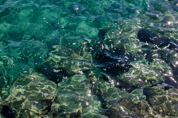 Fototapeta na wymiar Turquoise water and stones at the bottom