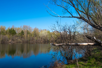 Spring landscape - forest lake in early spring with trees around it, reflecting in blue water on a bright sunny day