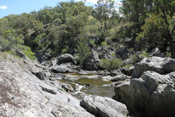 Naklejka na ściany i meble Oxley Wild Rivers National Park, New South Wales Australia