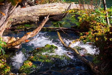Autumn landscape 
