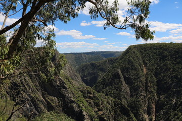 Oxley Wild Rivers National Park, New South Wales Australia