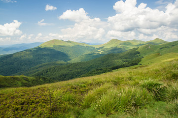 Fototapeta na wymiar Green valley in Bieszczady Mountains Poland
