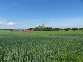 Fototapeta na wymiar Getreidefelder mit Burg und Ort Münzenberg in der Wetterau im Hintergrund
