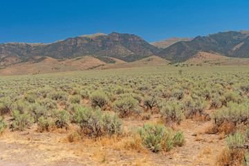 Fototapeta na wymiar Great Basin View along the Loneliest Highway in the America