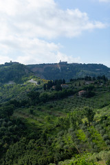 Fototapeta na wymiar Tuscany, Iltaly - May 27, 2015:.Landscape view with olive trees