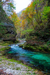 Inside of the Vintgar gorge , Slovenia