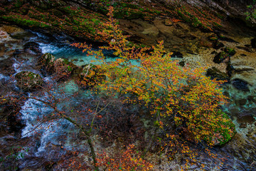 Inside of the Vintgar gorge , Slovenia