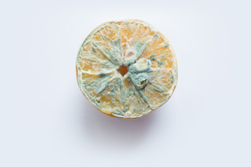 Trend-ugly food. Spoiled lemon halves with mold close up on a white wooden background with copy space