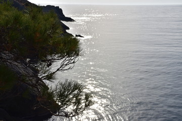  The sparkling sea at the cliffs